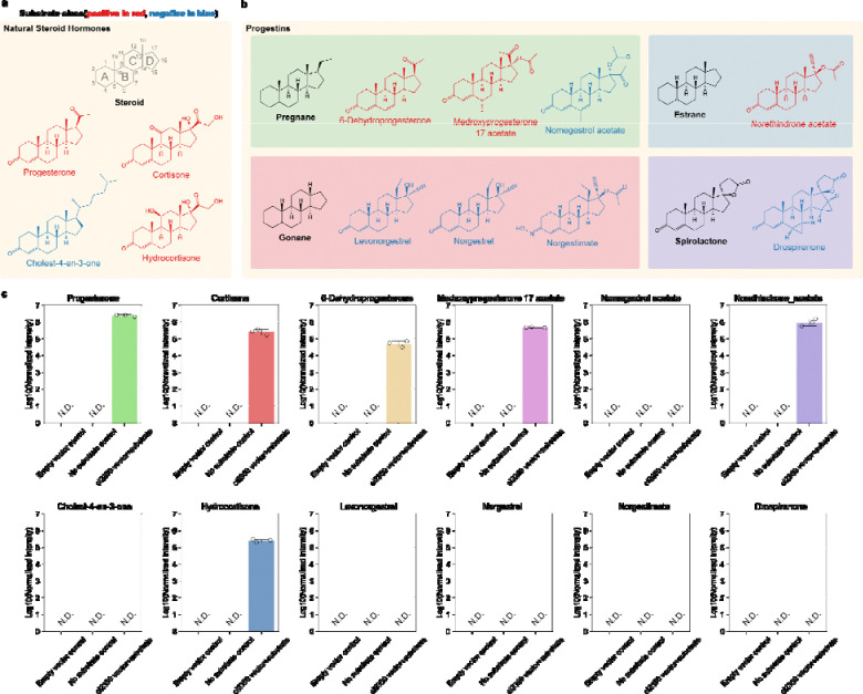 Figure 2: