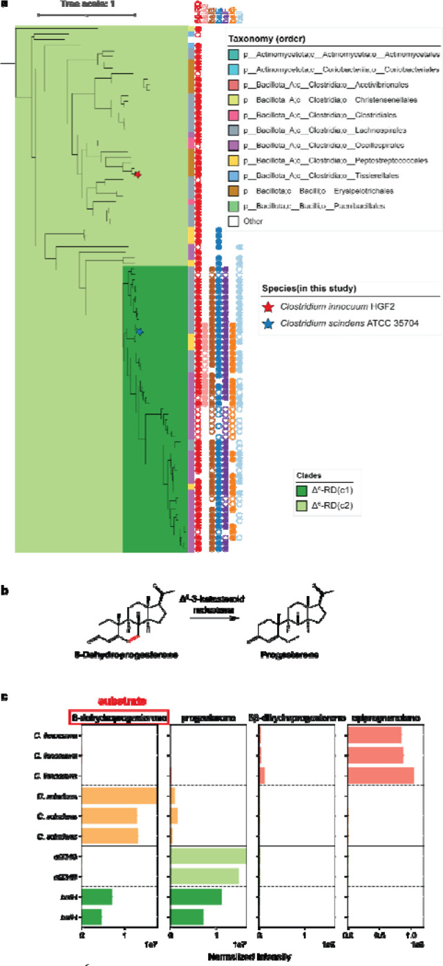 Figure 5: