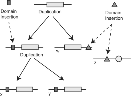 Fig. 1.