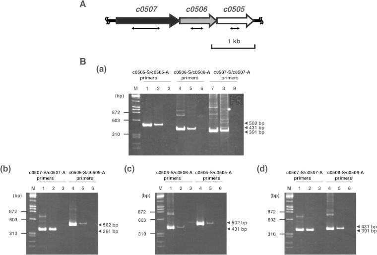 FIG 2