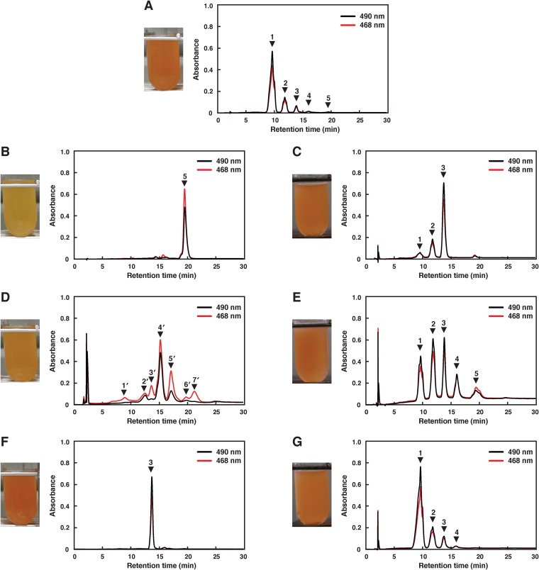 FIG 3