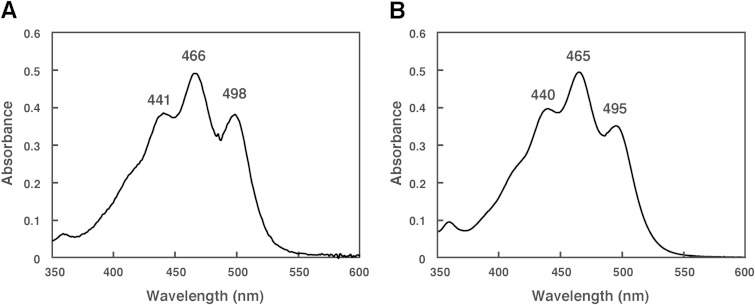 FIG 4