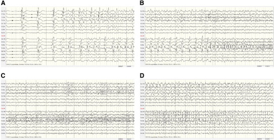 Fig. 3