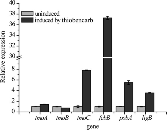 FIG 5