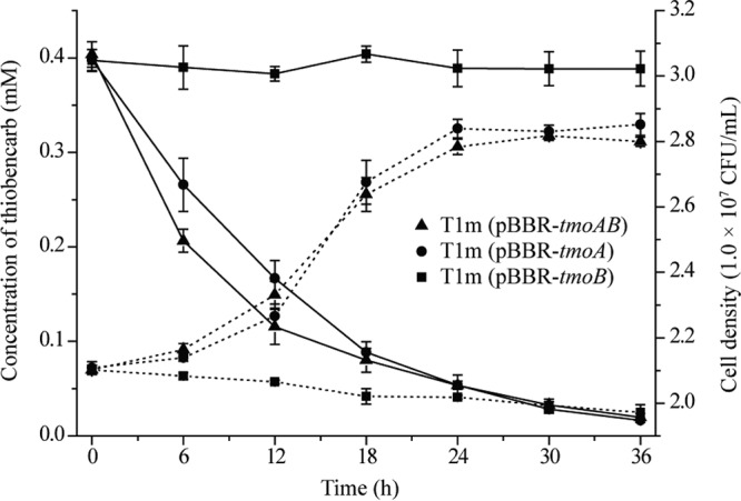 FIG 3