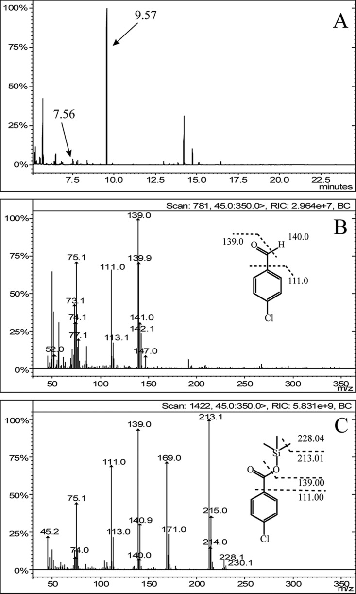 FIG 1