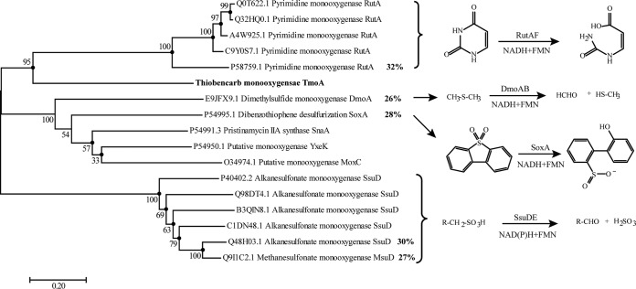 FIG 6