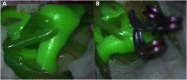 Fig. 5