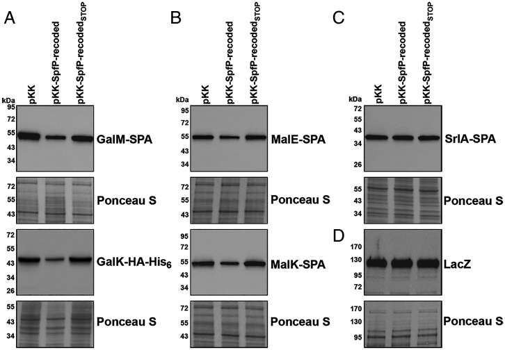 Fig. 4.