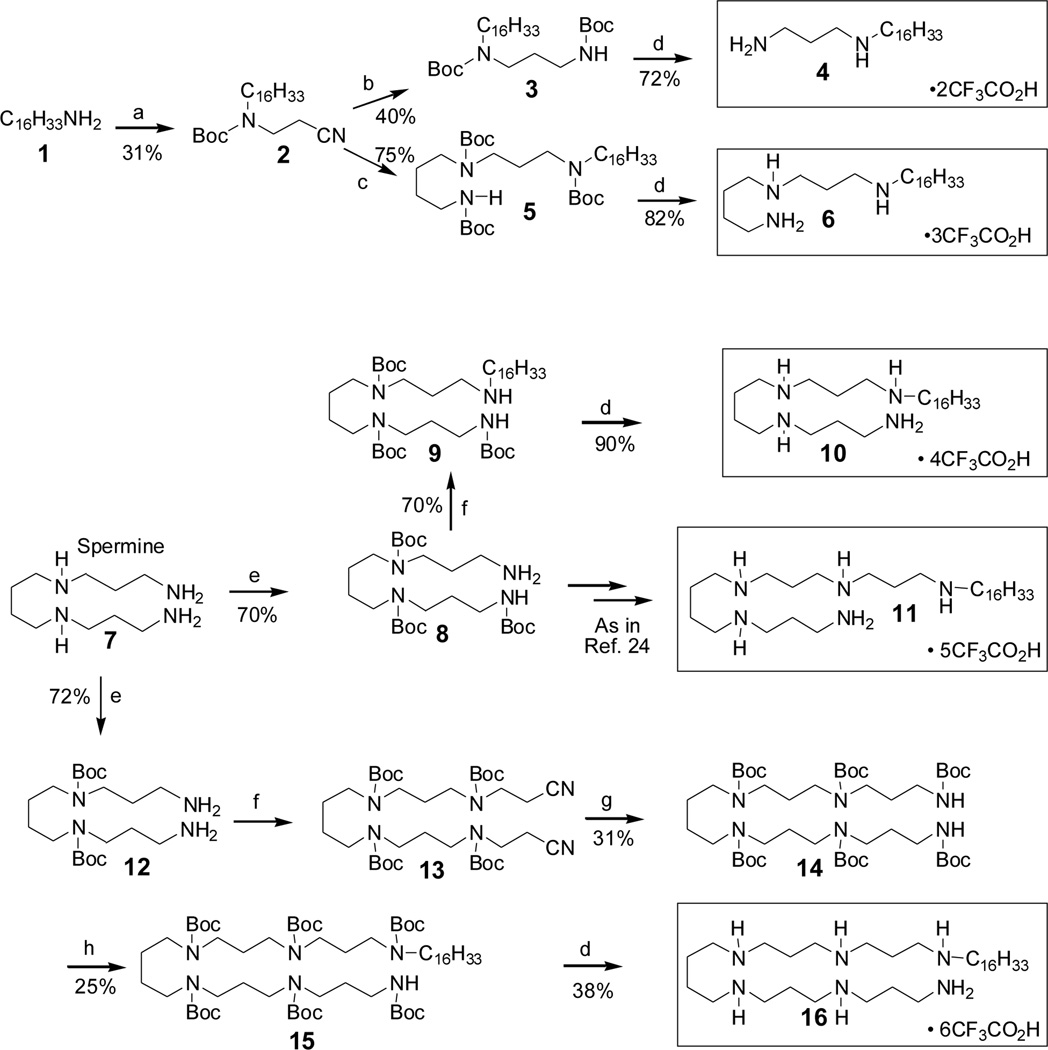 Scheme 1