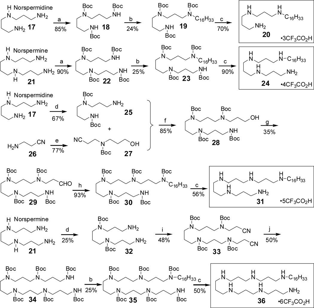 Scheme 2