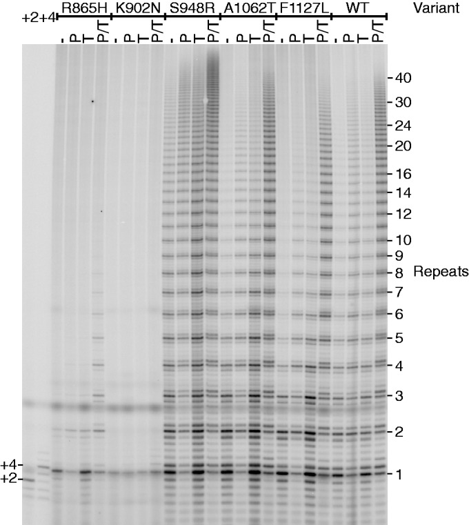 Figure 4.