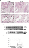 Figure 5—figure supplement 2.