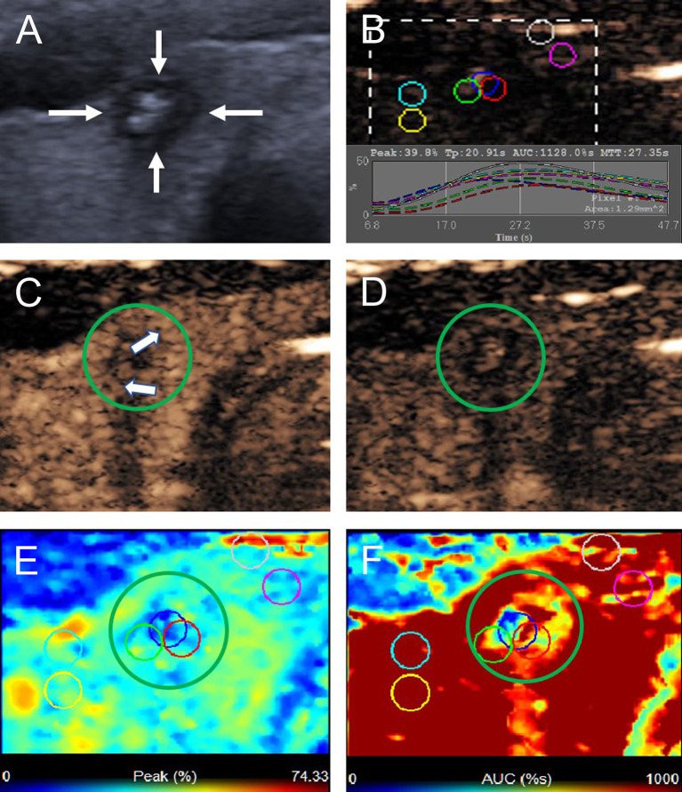 Figure 3