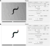 Figure 8.