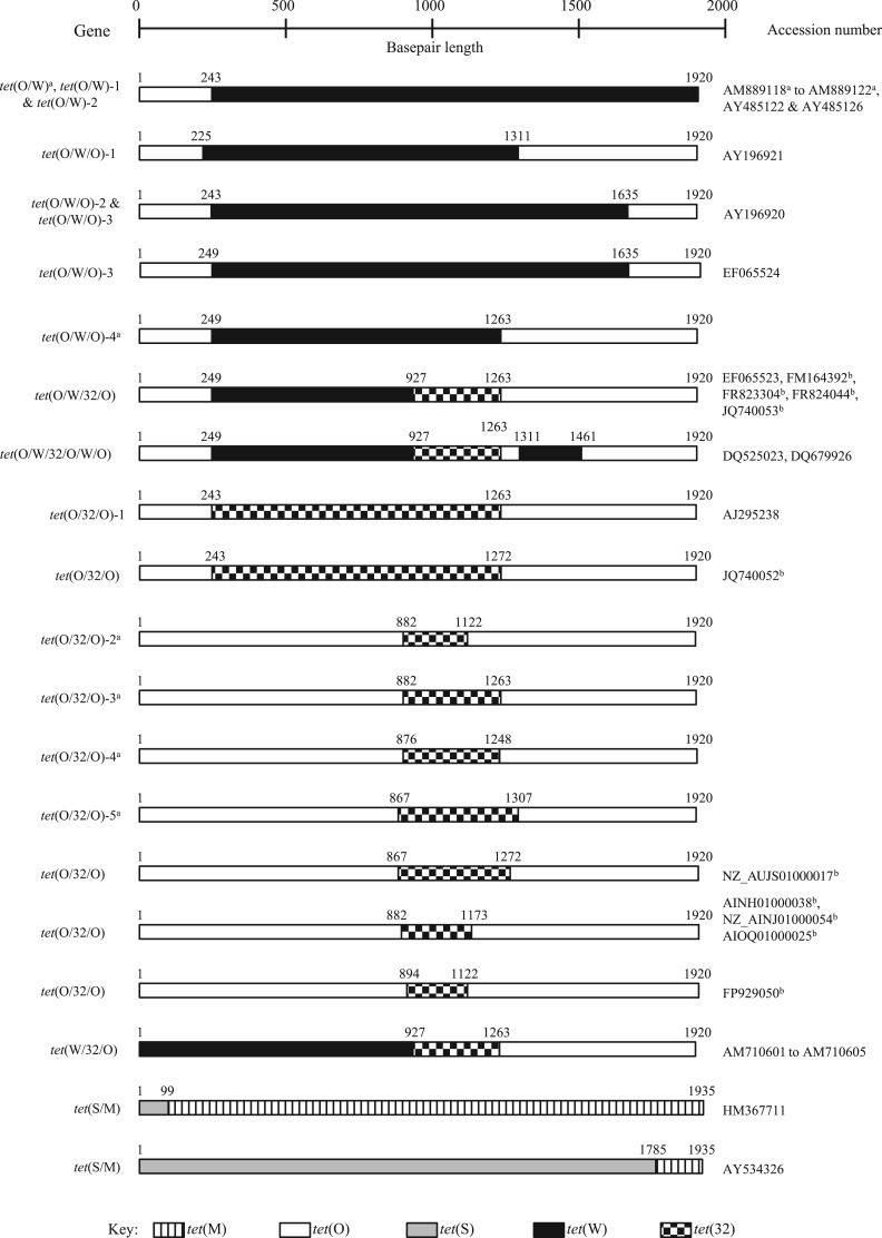 Figure 1.