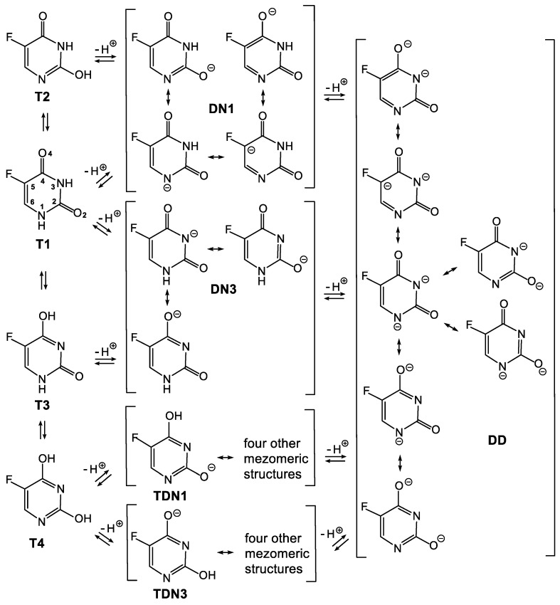 Scheme 3