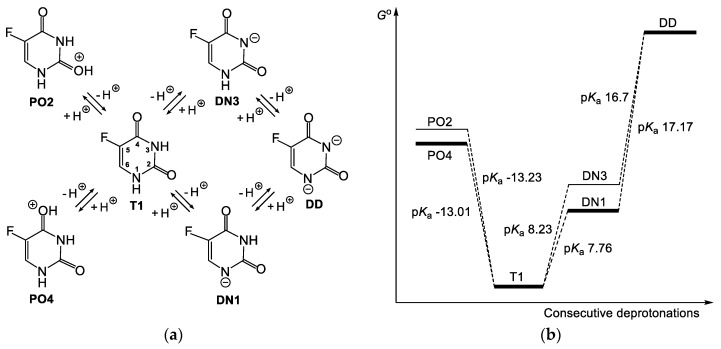 Scheme 5