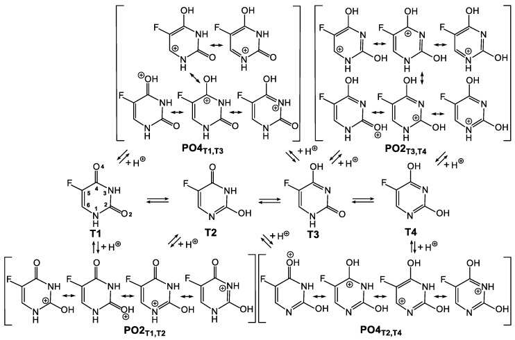 Scheme 4