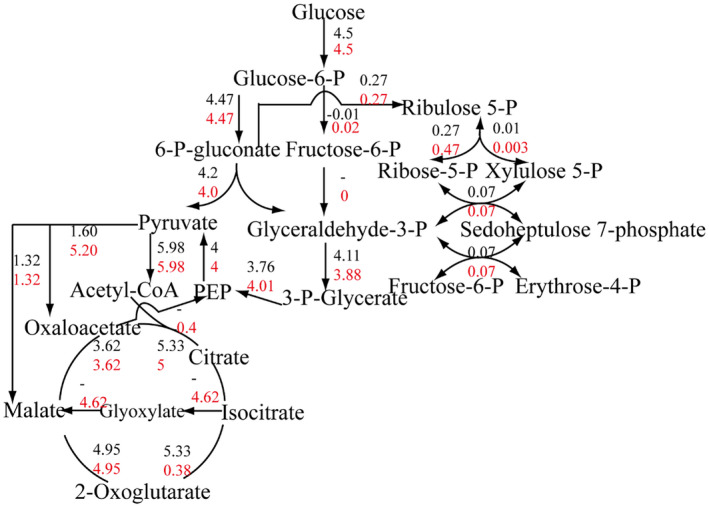 FIGURE 3