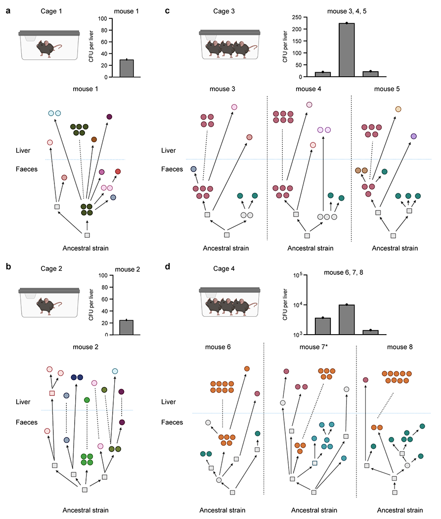 Extended Data Fig. 4 |