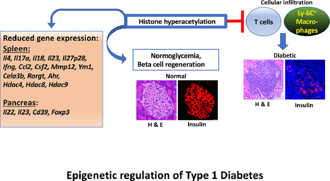 Image, graphical abstract