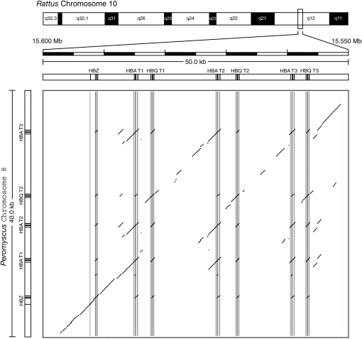 Figure 3.—