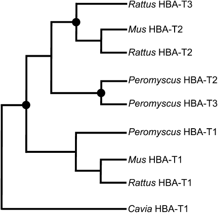 Figure 5.—