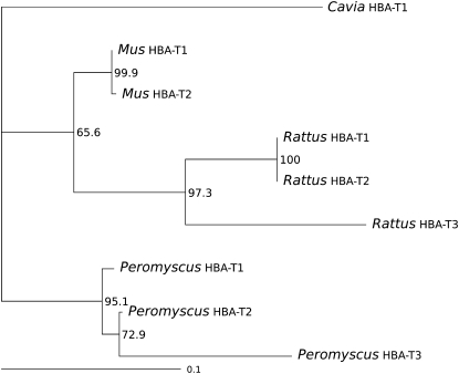 Figure 4.—