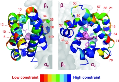 Figure 7.—