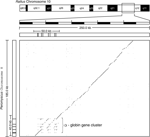 Figure 2.—