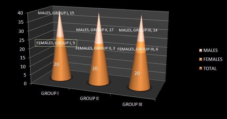 Graph 1: Number of patients and the gender distribution
included in the study.