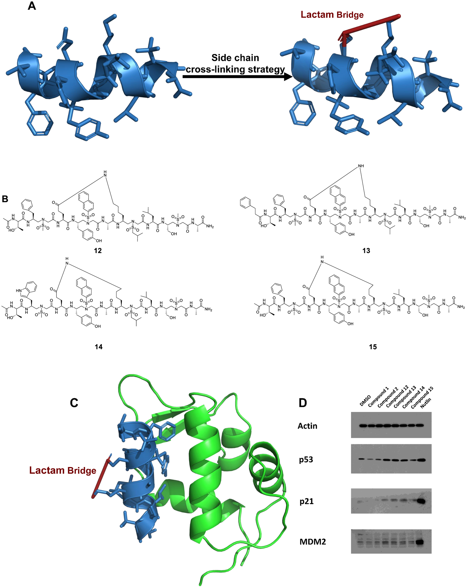 Figure 5.