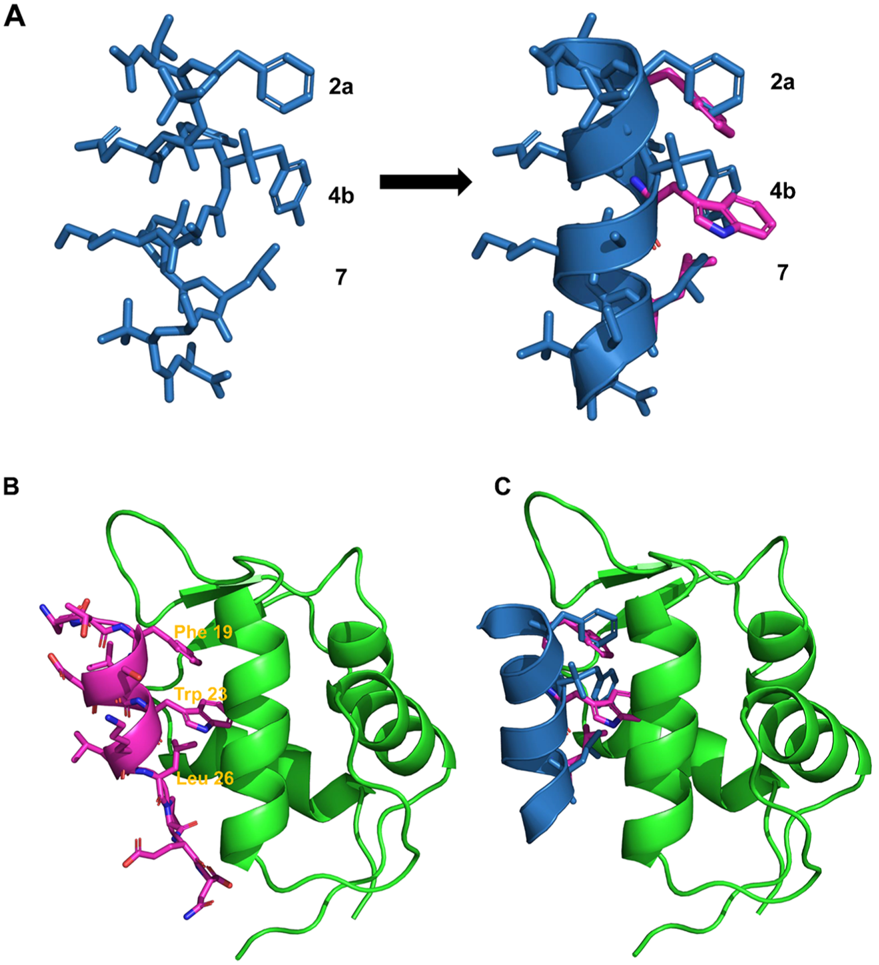 Figure 2.