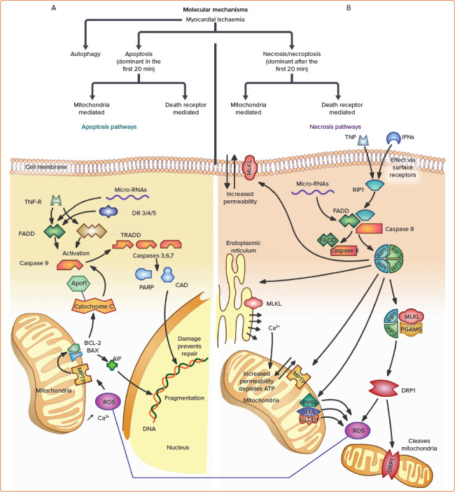 Figure 3: