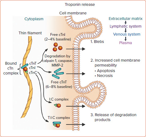 Figure 5: