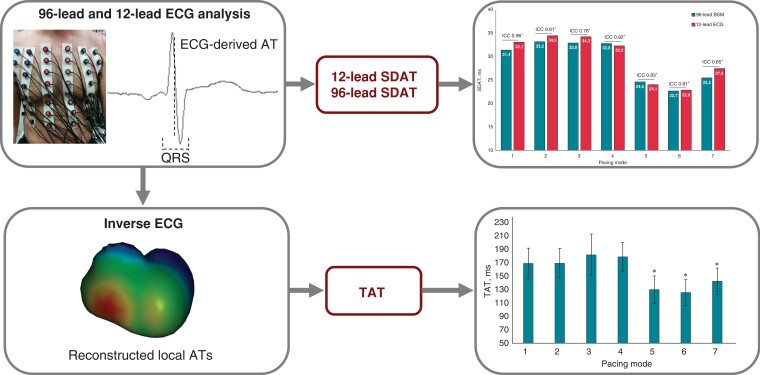 Graphical Abstract