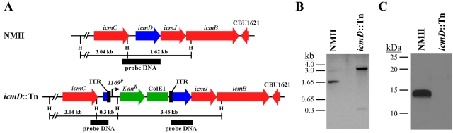 FIG 1 