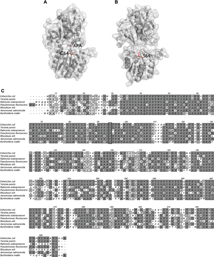 FIGURE 2.