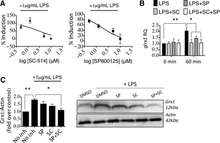 FIG. 6.