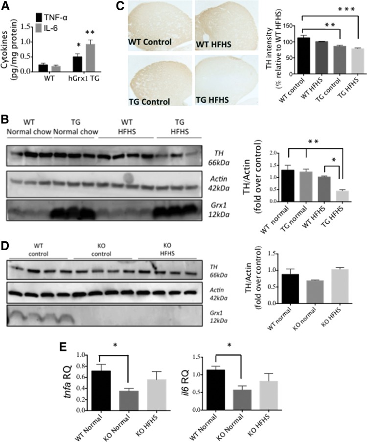 FIG. 8.