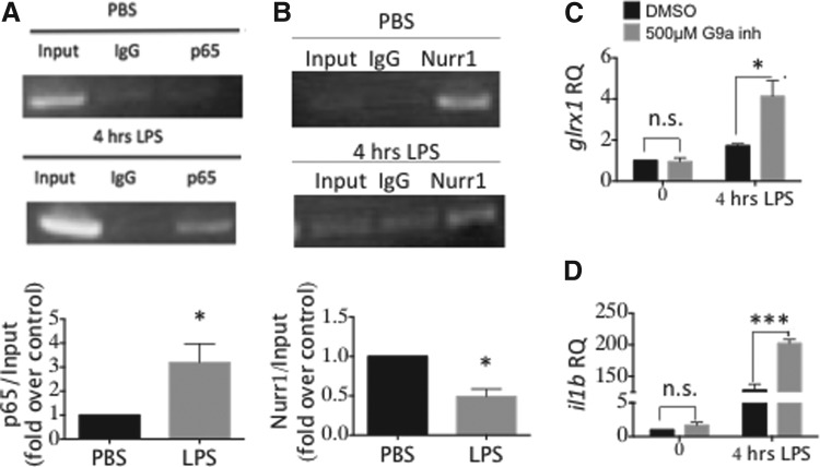 FIG. 7.