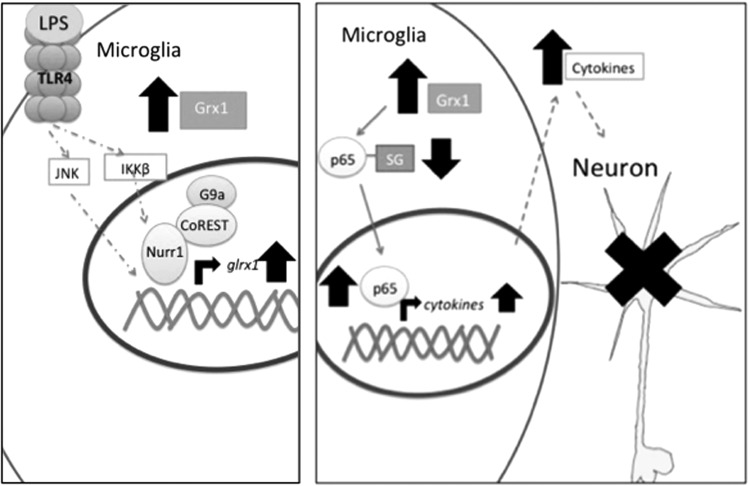 FIG. 9.