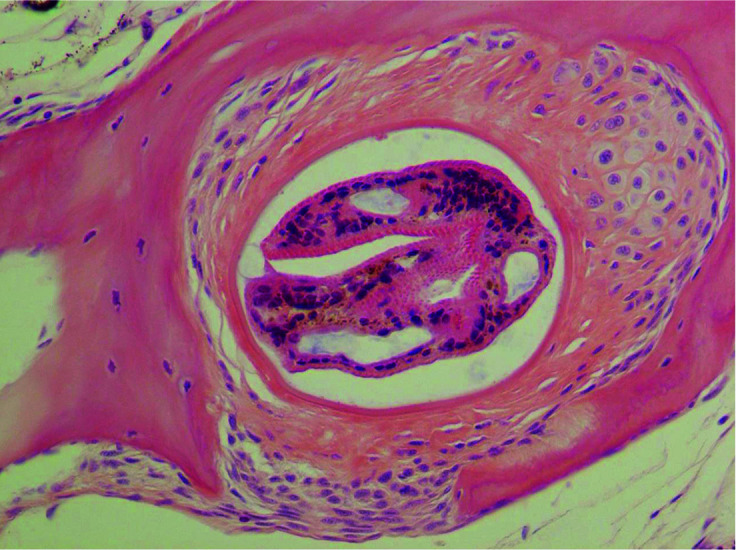 Figure 2.