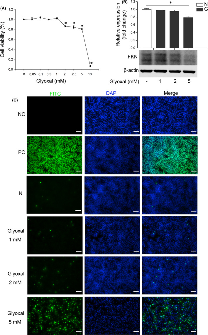 FIGURE 2