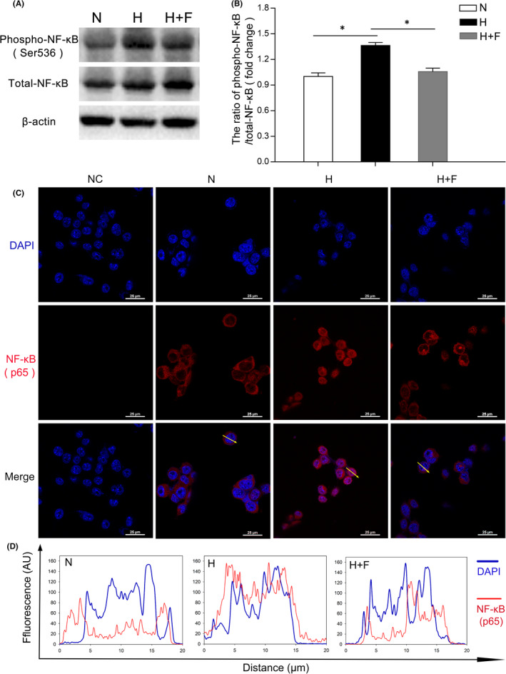 FIGURE 6