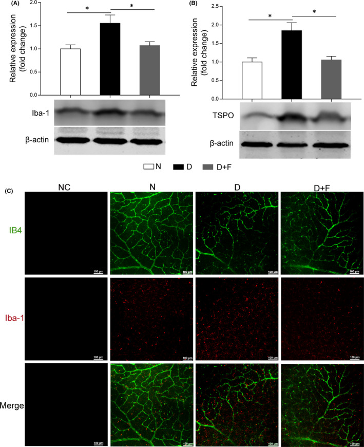 FIGURE 3