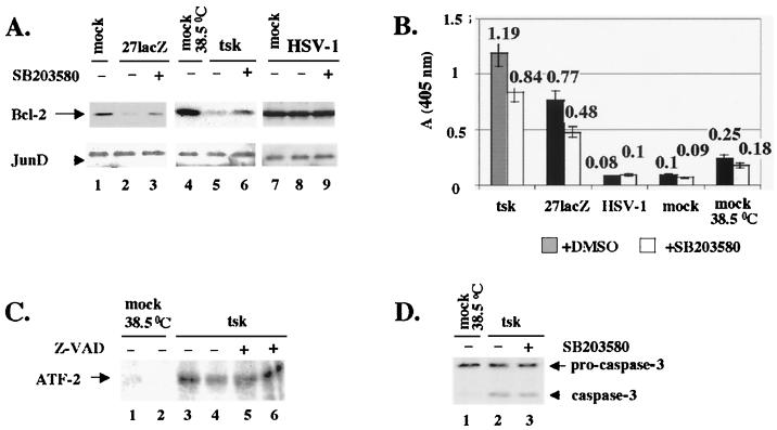 FIG. 7