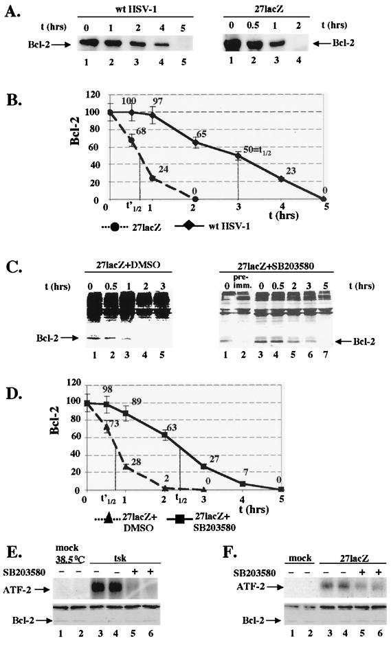 FIG. 6