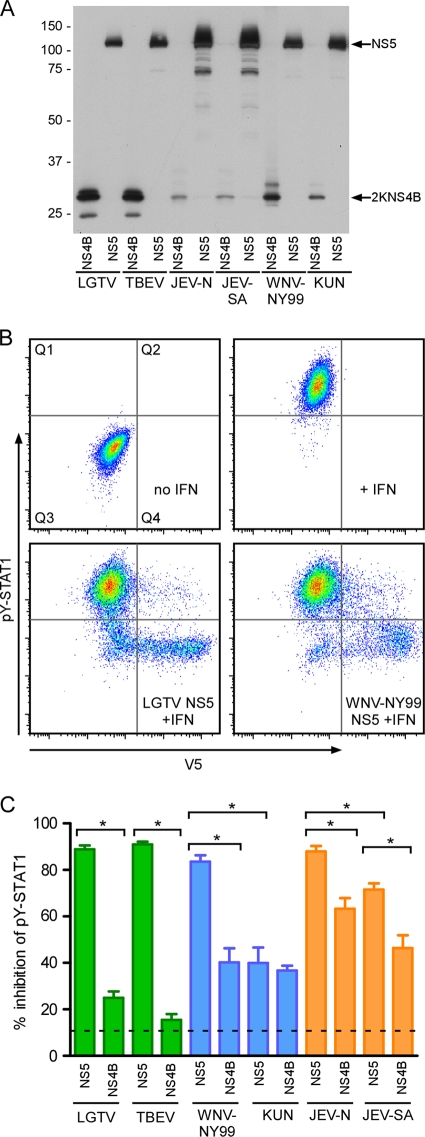 FIG. 3.